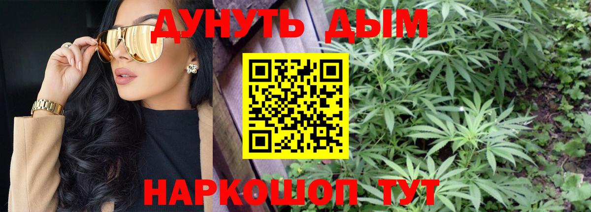 Конопля гибрид Белебей